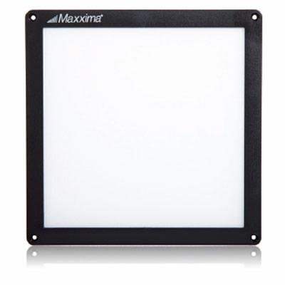 6" x 6" Flat Panel Light - White LED, Wafer Thin, 500 Lumens, 5804K, 12/24 VDC, Even Light Dispersion, Ultra Thin Design, Maxxima, 5 Year Warranty