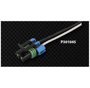 1 Female Packard with 10 Inch Pigtail Wiring Harness - Durable and Reliable Electrical Connector