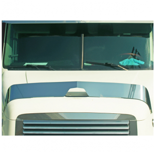 Freightliner Century Class Stainless Steel 6 Inch Bug Shield - Durable Protection