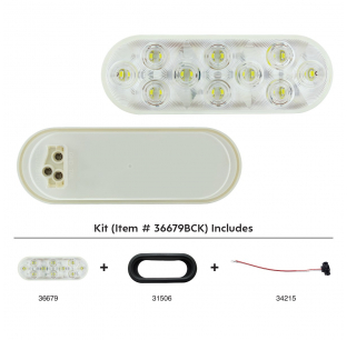 20 White LED 6 Inch Oval Back-Up Light