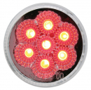 2 Inch Clear Sealed LED Reflector Light (TX-TLED-2CR) Red