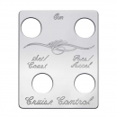 Stainless Steel Cruise Control Switch Plate W/4 Switches