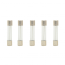 5 Piece Mixed AGC Glass Fuses
