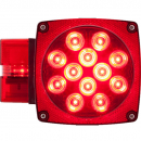 Driver Side 21 LED Red Combination Tail Light