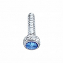 Freightliner Chrome Short Dash Screws With Or Without Diamond