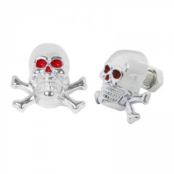 Bike License Plate Hardware 2 Silver Skull License Plate Frame Bolts For Motorcycles - Grey Skull Design Fasteners For Tag Mounting Chrome License Plate Screws - Foto 10