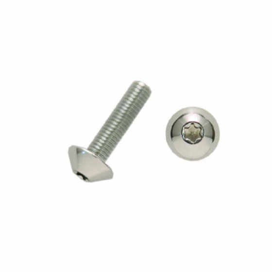 Chrome Stainless Steel Screw For Dash Panel