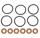 Freightliner, International, Kenworth, And Oshkosh Motor Truck Co. 2010 To 2013 Fuel Injector O-Ring Kit